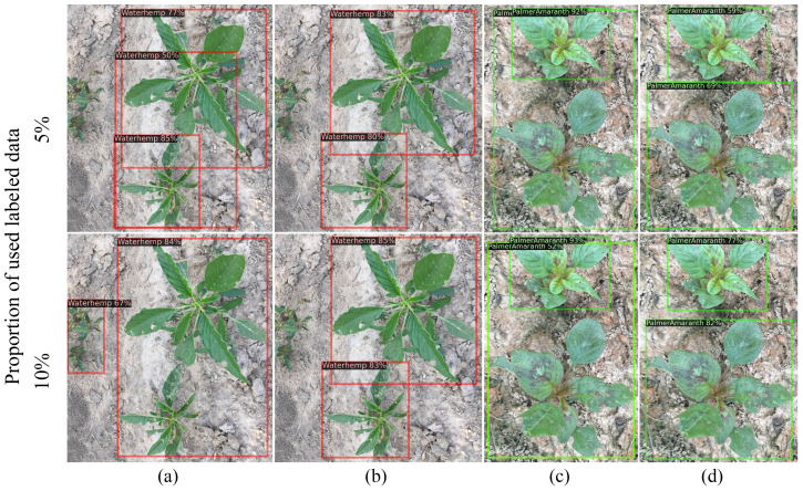 Figure 6