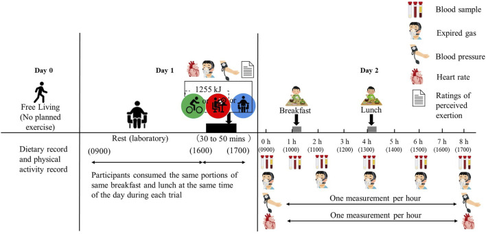 FIGURE 1