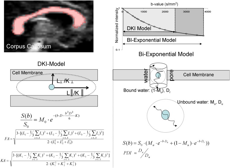 Fig. S1.