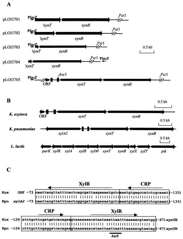 FIG. 1.