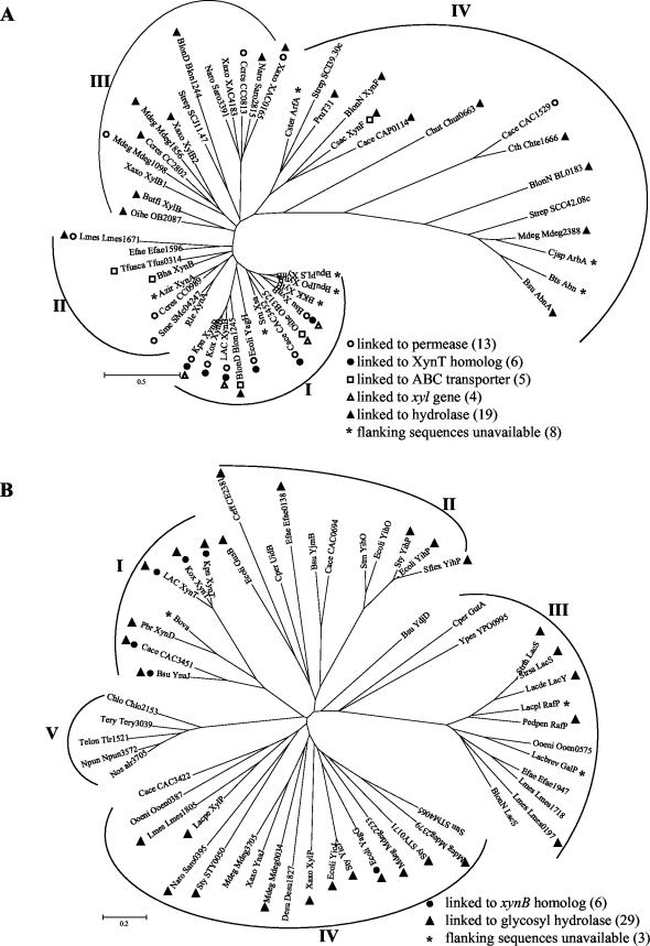 FIG.2.