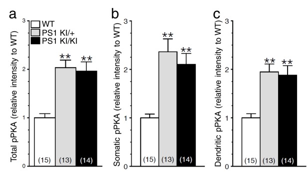 Figure 6—figure supplement 1.