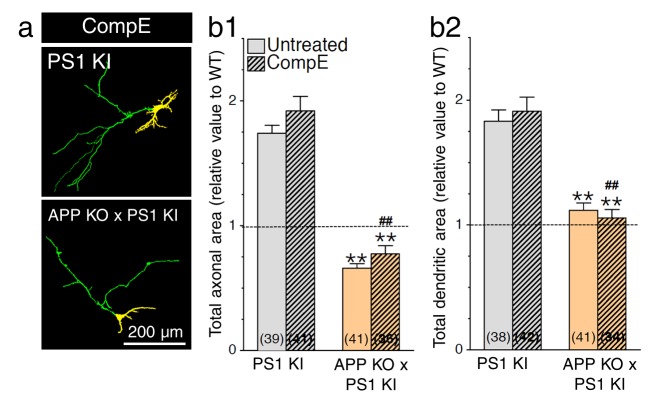 Figure 3—figure supplement 2.