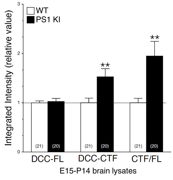 Figure 3—figure supplement 4.