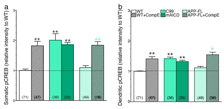 Figure 5—figure supplement 1.