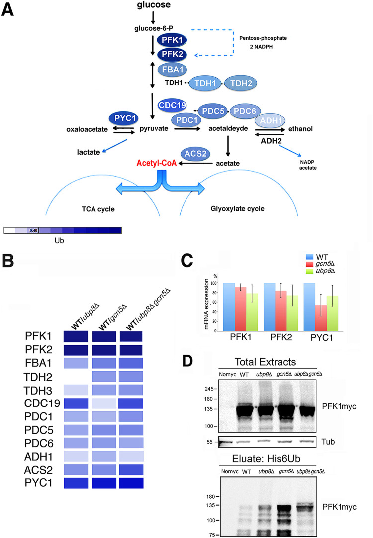 FIG 3