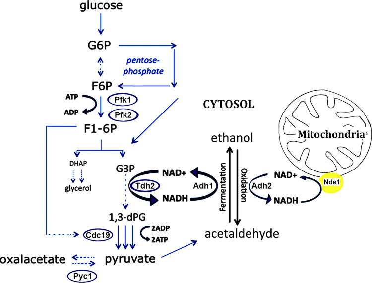 FIG 5