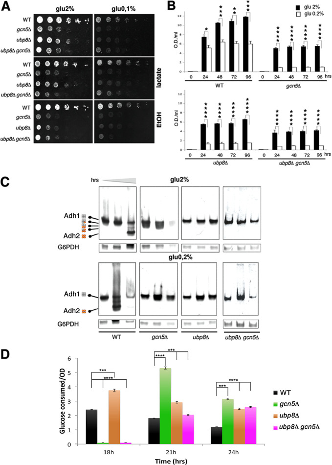 FIG 4