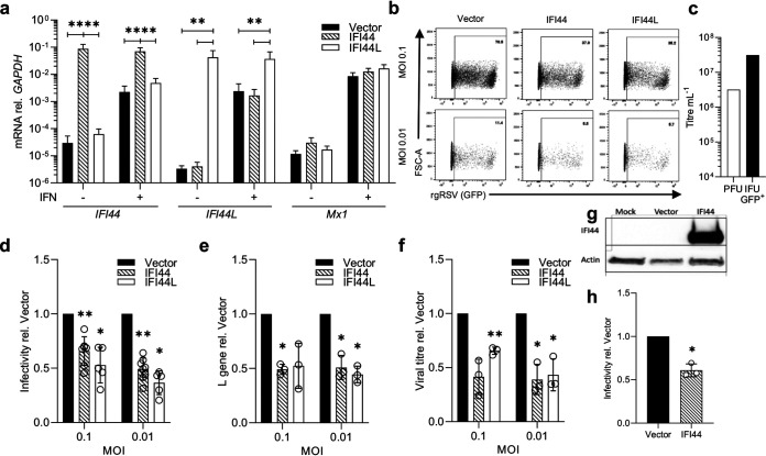 FIG 2