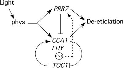 Figure 7.