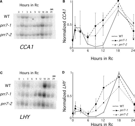 Figure 5.