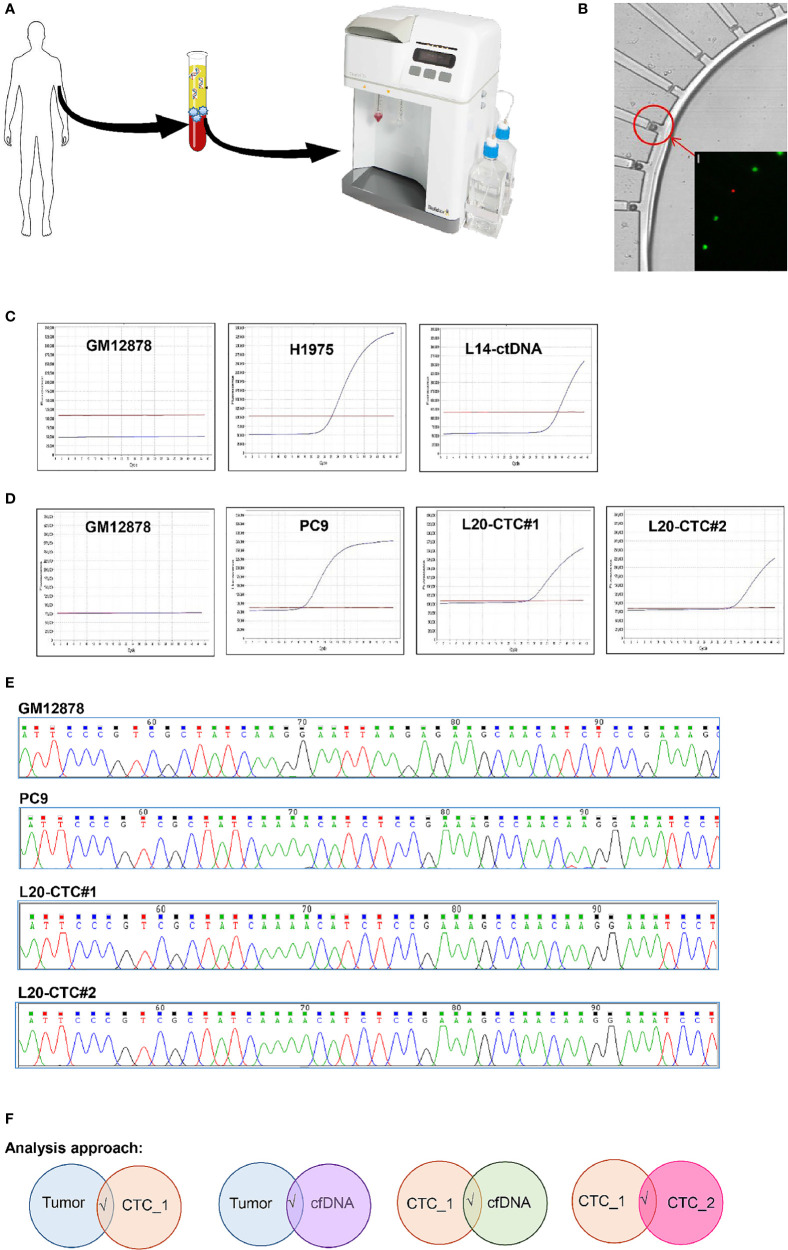 Figure 1