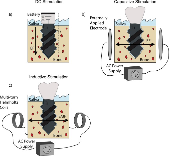 Figure 3.