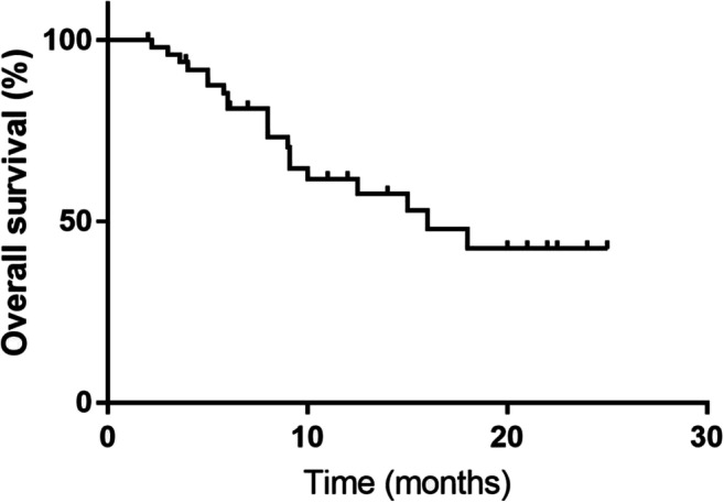 Fig. 2