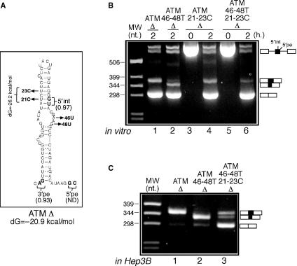 Figure 4.