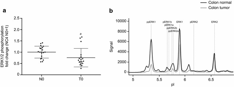 Fig. 7