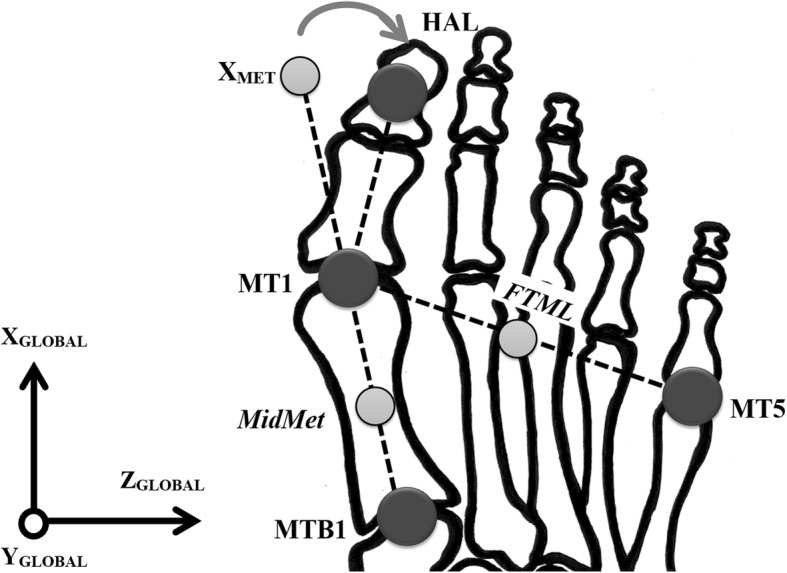 Fig. 5