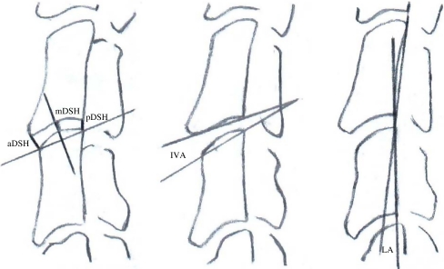 Fig. 2