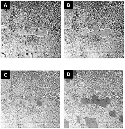 Figure 4