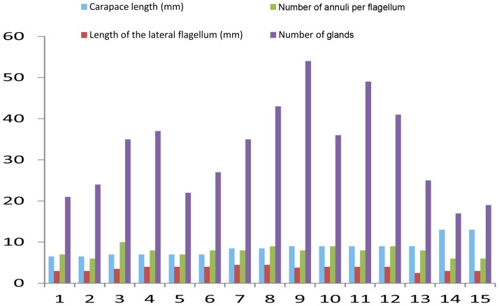 Figure 5