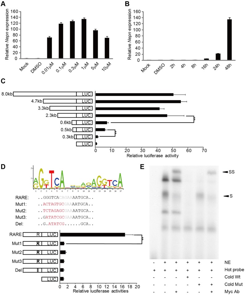 Fig. 4.