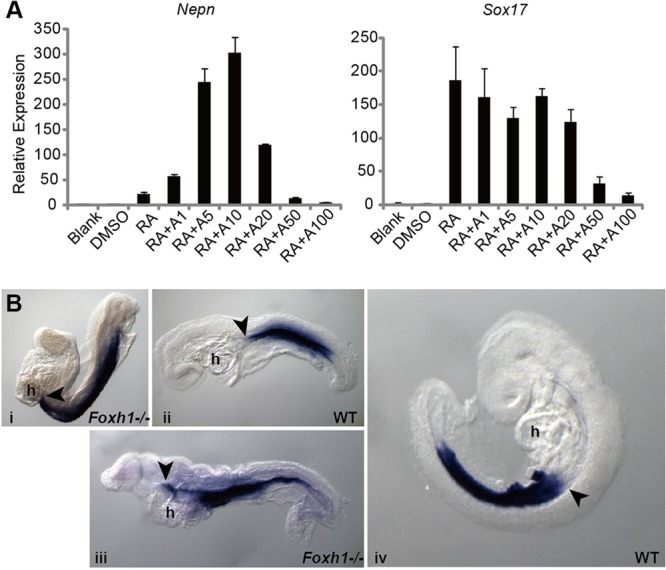 Fig. 6.