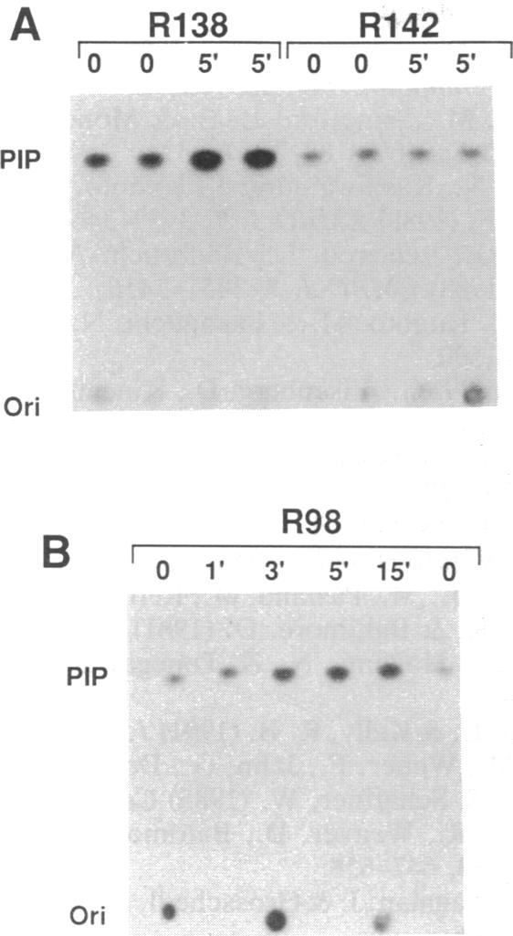 graphic file with name pnas01082-0253-a.jpg