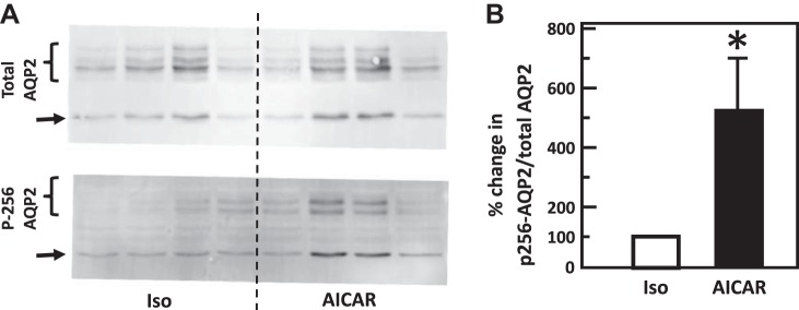 Fig. 11.