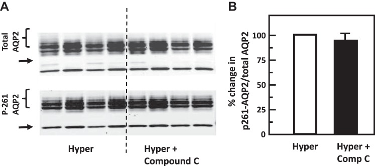 Fig. 9.