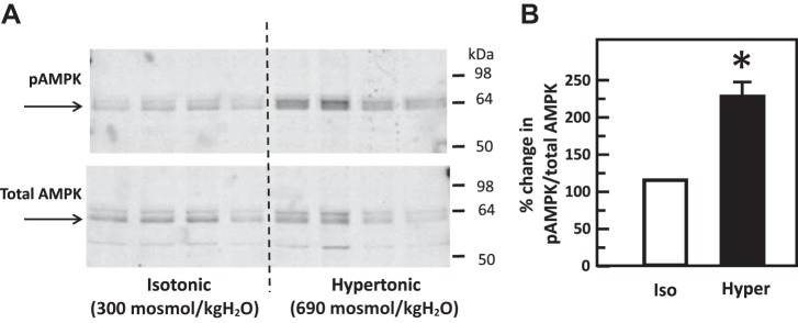 Fig. 13.