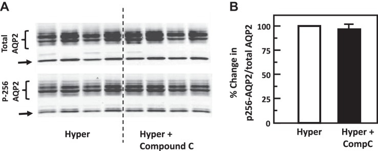 Fig. 8.