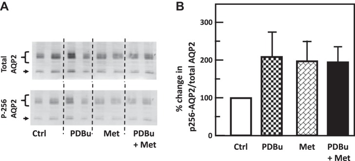 Fig. 14.