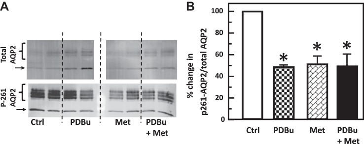 Fig. 15.