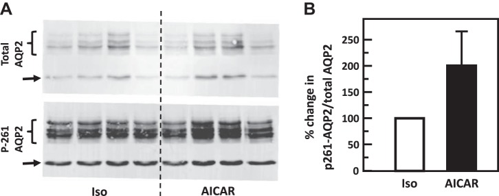 Fig. 12.