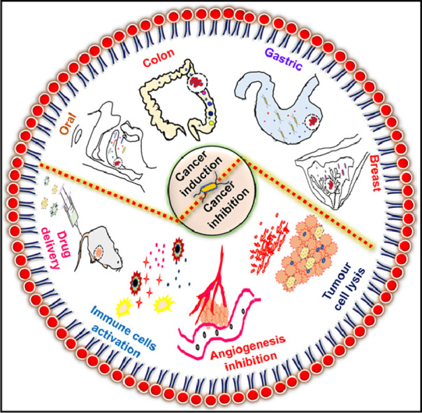 Image, graphical abstract