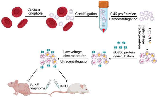 Image, graphical abstract