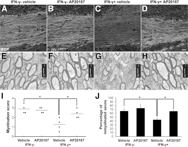 Figure 5