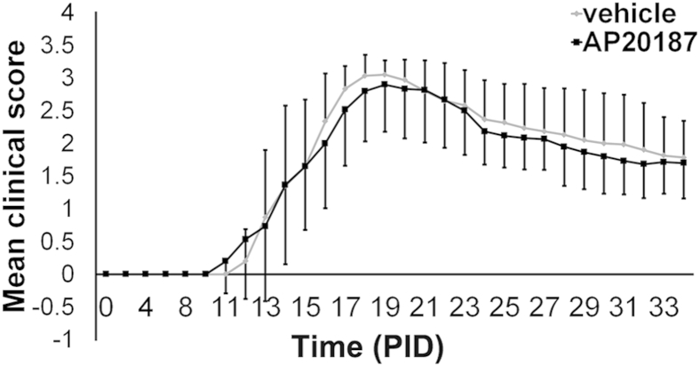 Figure 6