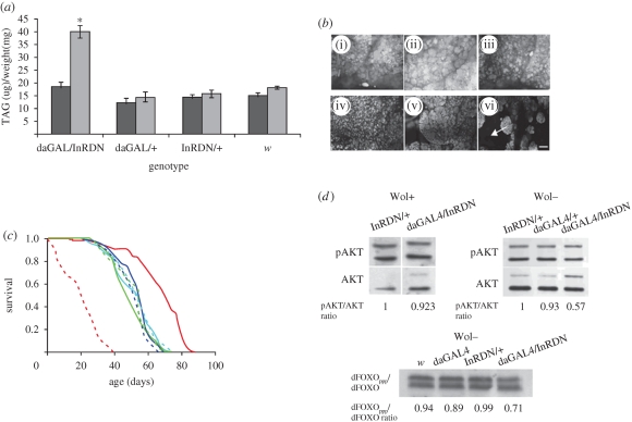 Figure 2.