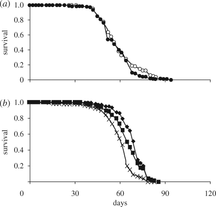 Figure 3.