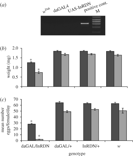 Figure 1.