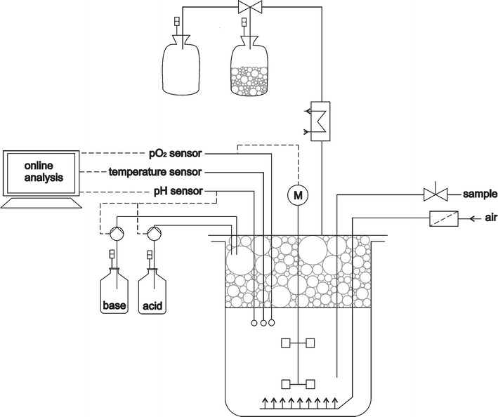 Fig. 1