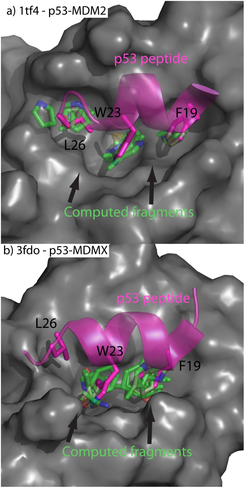 Fig 10