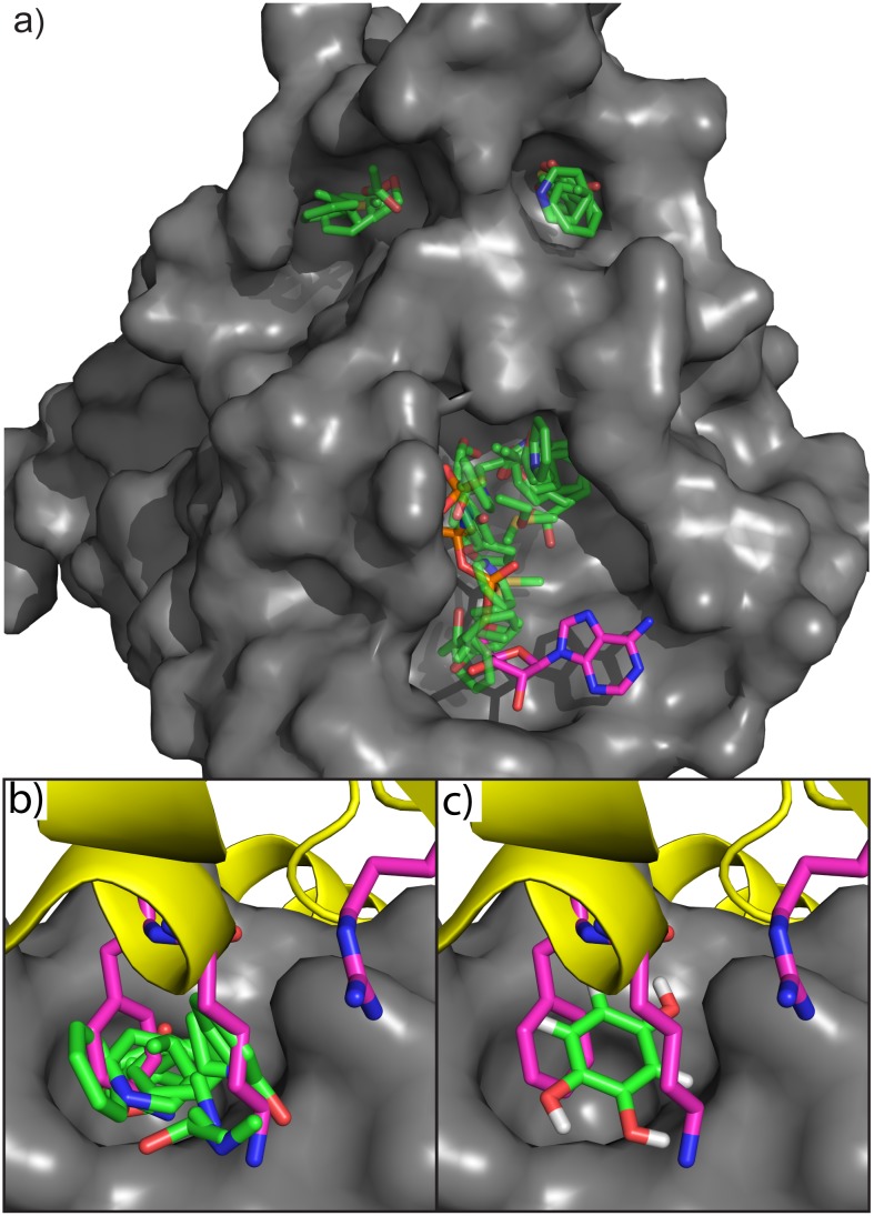 Fig 2