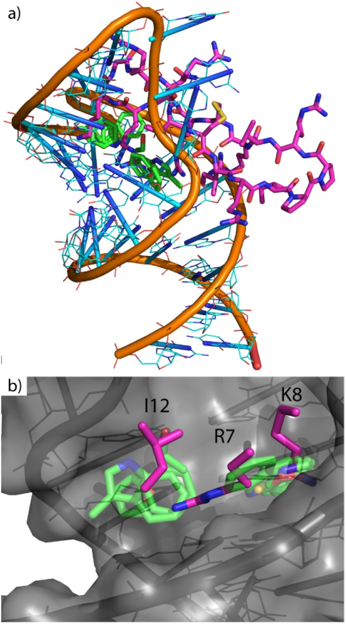 Fig 11