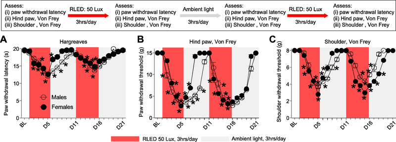 Figure 6.