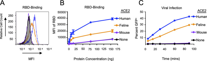 FIG 4