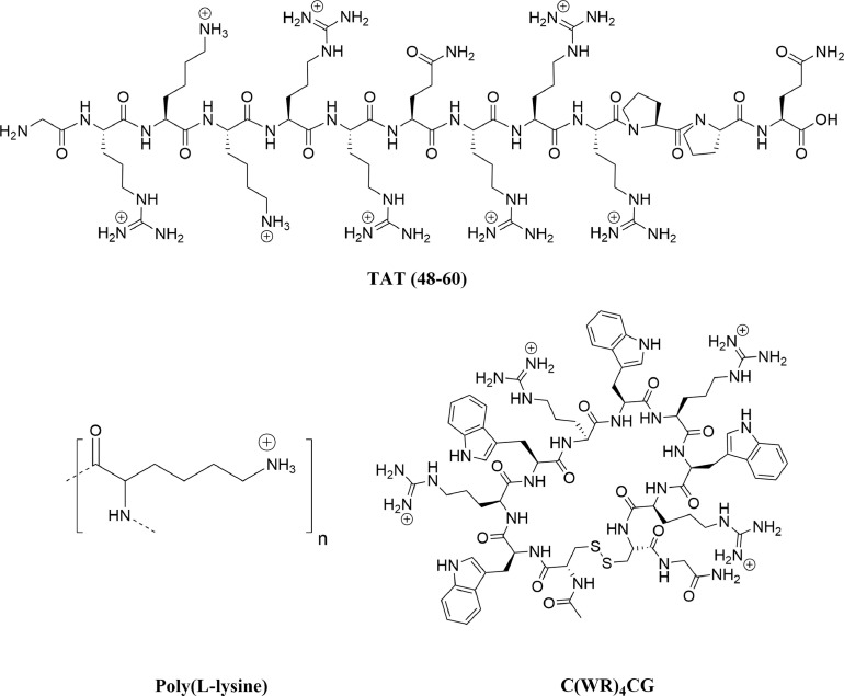 Fig 8