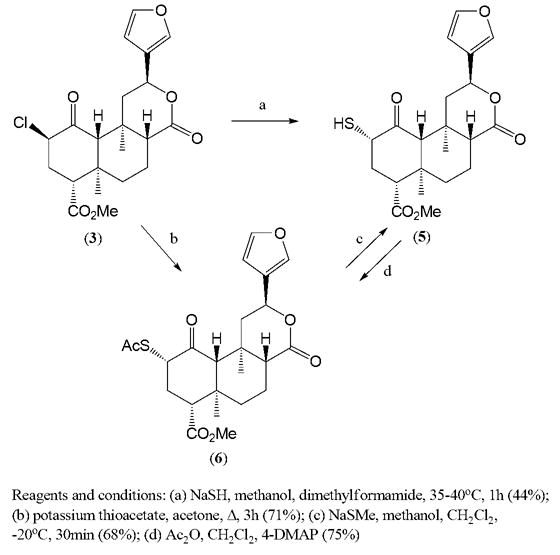 Scheme 2