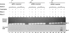 FIG. 6.